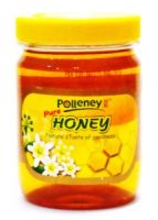 Polleney Brand Pure Honey - 454 gm